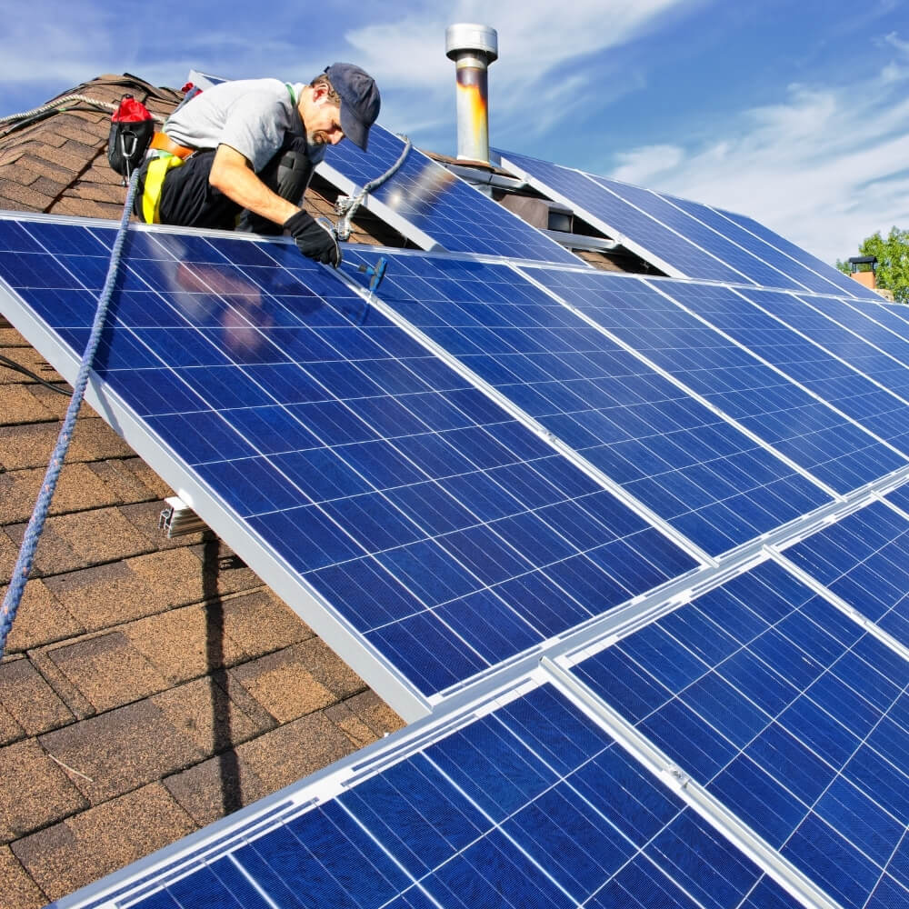 Solar Panel Cleaning